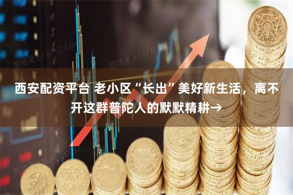 西安配资平台 老小区“长出”美好新生活，离不开这群普陀人的默默精耕→