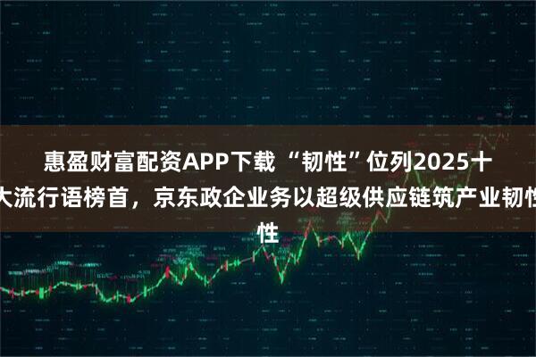 惠盈财富配资APP下载 “韧性”位列2025十大流行语榜首，京东政企业务以超级供应链筑产业韧性